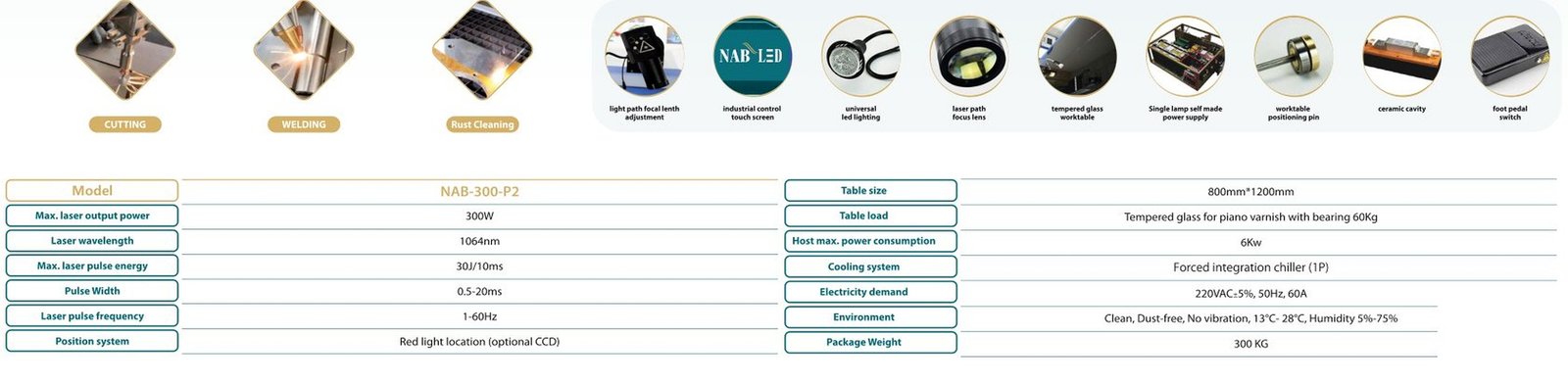 جدول المواصفات المصور Fiber Laser Welding NAB-300-P2